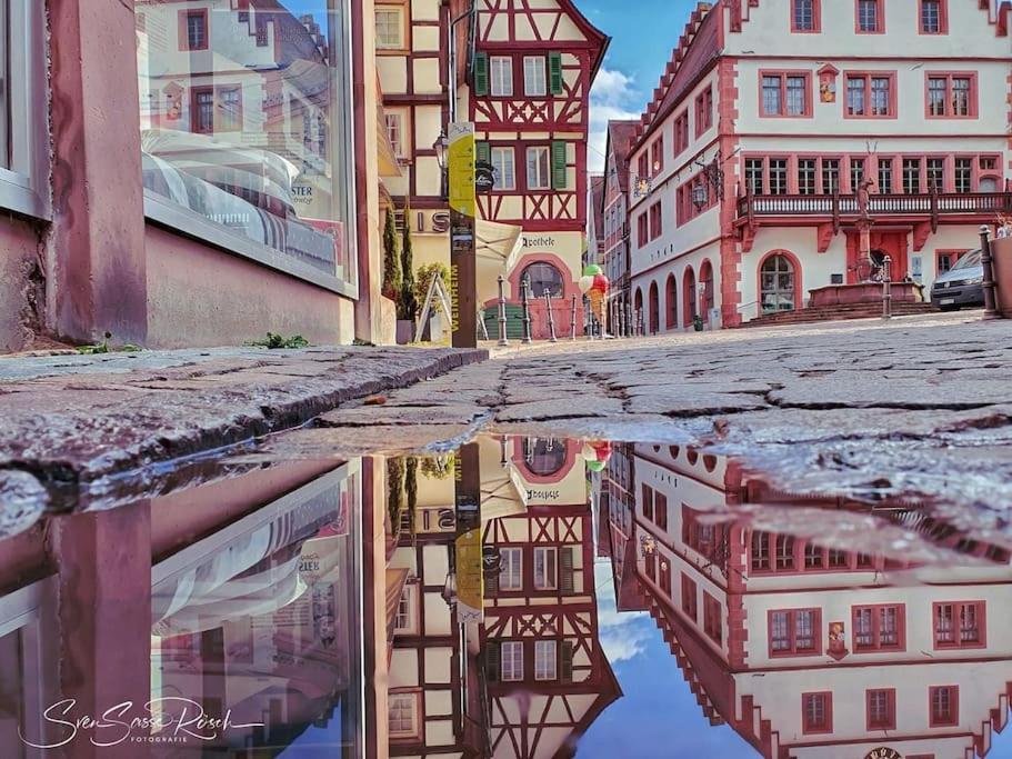Ferienwohnung Zwischen Weinheim Und Hemsbach المظهر الخارجي الصورة
