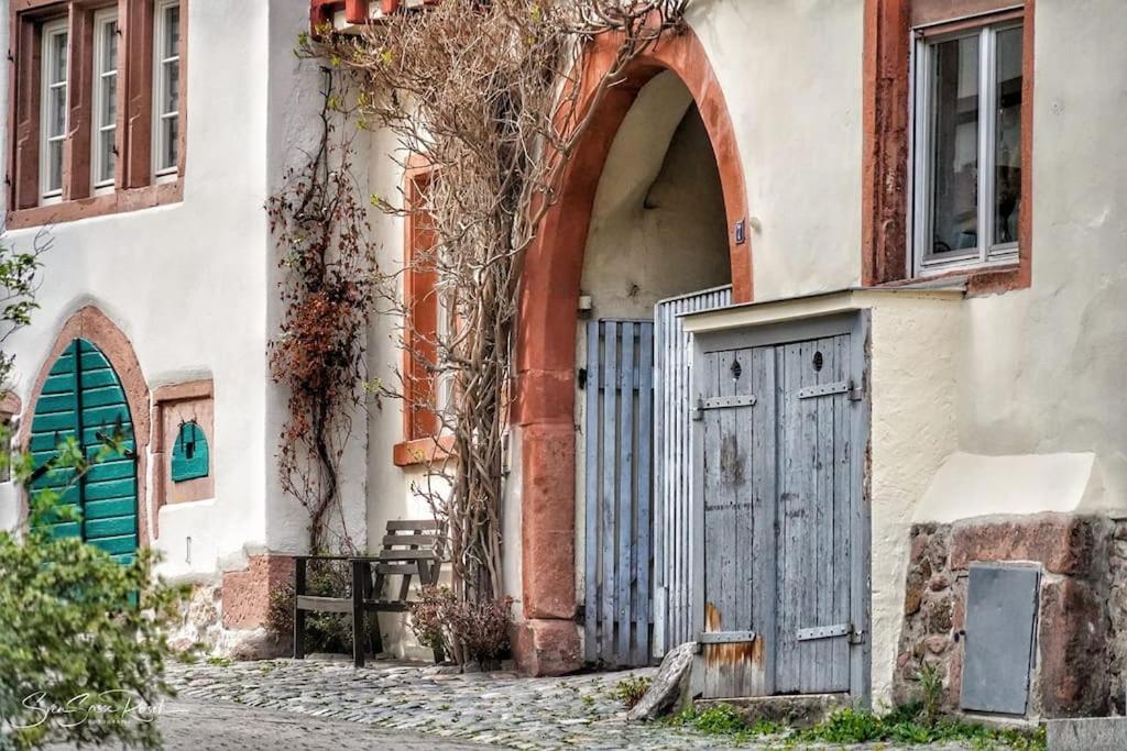 Ferienwohnung Zwischen Weinheim Und Hemsbach المظهر الخارجي الصورة